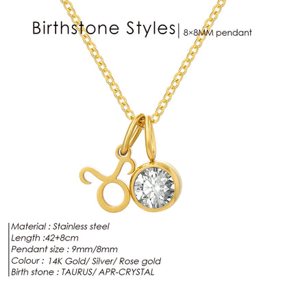 EManco - Birthstone Constellation Double Pendant Necklace, 12 Zircon Stainless Steel Jewelry, DIY Necklace.