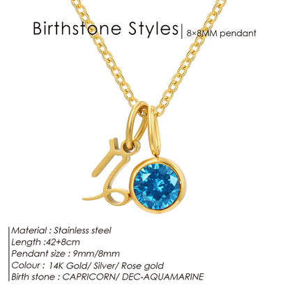 EManco - Birthstone Constellation Double Pendant Necklace, 12 Zircon Stainless Steel Jewelry, DIY Necklace.