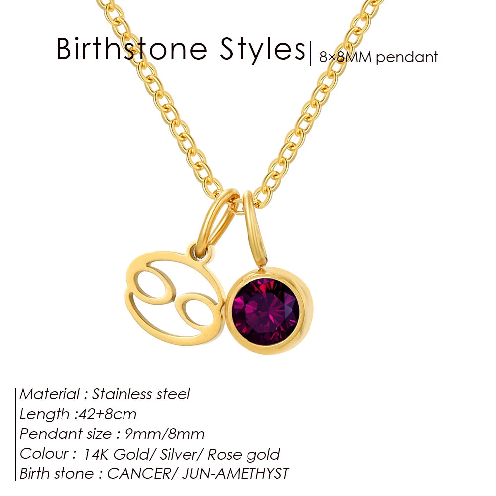 EManco - Birthstone Constellation Double Pendant Necklace, 12 Zircon Stainless Steel Jewelry, DIY Necklace.