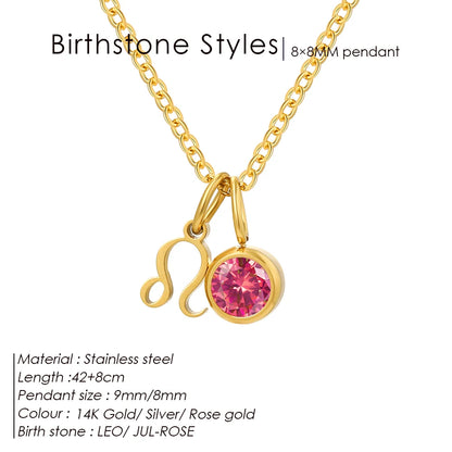 EManco - Birthstone Constellation Double Pendant Necklace, 12 Zircon Stainless Steel Jewelry, DIY Necklace.