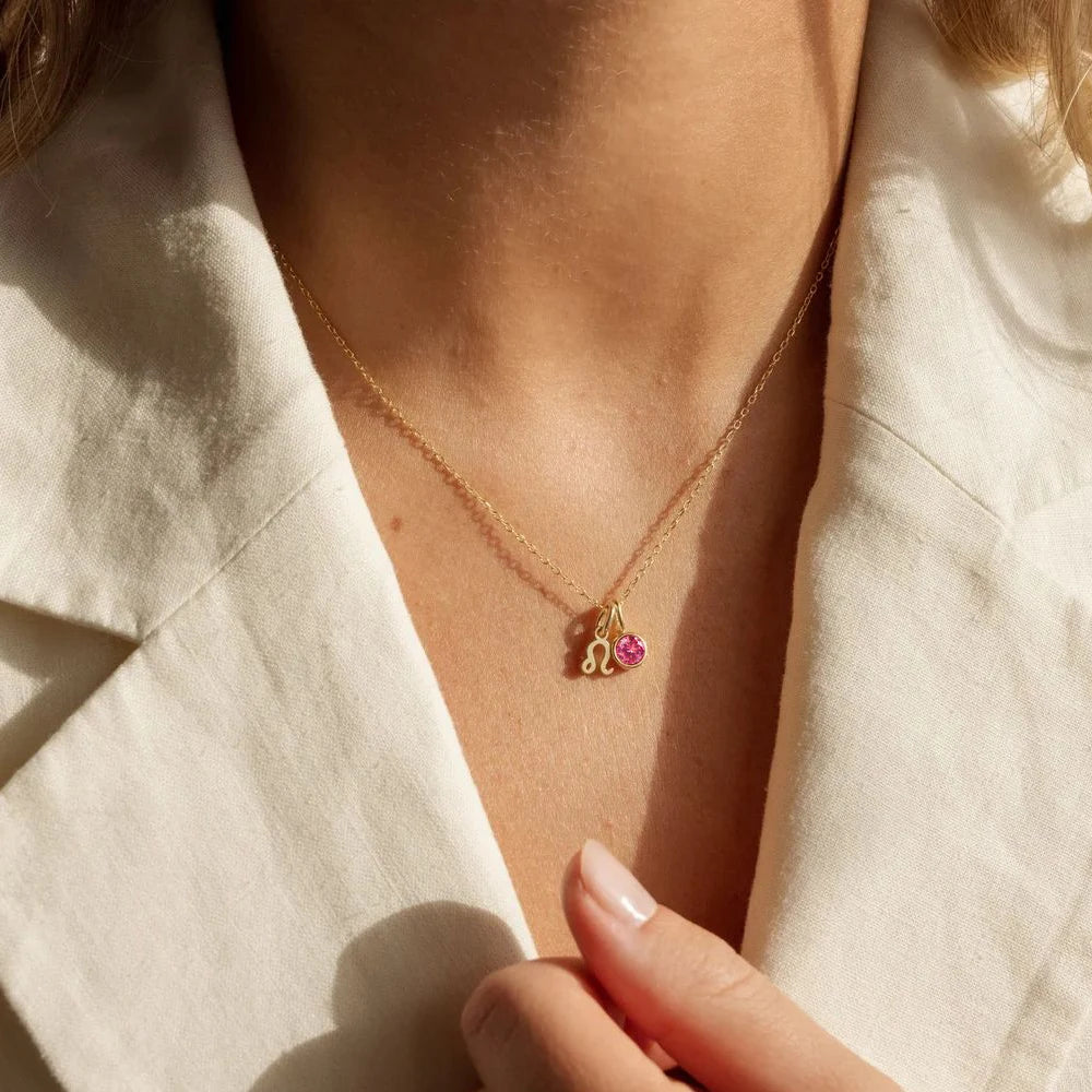 EManco - Birthstone Constellation Double Pendant Necklace, 12 Zircon Stainless Steel Jewelry, DIY Necklace.